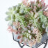 Фото #11 товара Искусственные цветы Homescapes Künstlicher Succulenten Arrangement