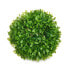 Decorative Plant Ball Plastic 17 x 13,5 x 17 cm (12 Units)