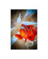 Фото #1 товара Jan Abadschieff Clownfish Defends His White Anemone Canvas Art - 20" x 25"