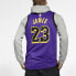 Фото #5 товара Nike NBA LeBron James 城市版球衣 SW球迷版 湖人 詹姆斯 23号 男款 紫色 / Кроссовки Nike LeBron James SW 23 AJ4618-510