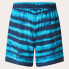 Фото #4 товара OAKLEY APPAREL Blur Stripes RC 16´´ Swimming Shorts