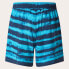 OAKLEY APPAREL Blur Stripes RC 16´´ Swimming Shorts