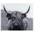 Фото #1 товара Аксессуар WENKO Highland Cattle
