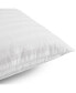 Won't Go Flat 2-Pack Pillows, Standard/Queen