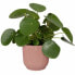 Фото #4 товара Горшок для цветов Elho Plant pot 30 cm Plastic