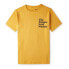 ფოტო #1 პროდუქტის O´NEILL Future Surf short sleeve T-shirt