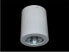 Фото #1 товара Lampa sufitowa Azzardo Boris 1x50W (gm4108wh)