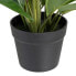 Фото #2 товара Декоративное растение 50 x 45 x 48 cm Зеленый PVC