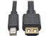 Фото #9 товара Tripp Lite P586-006-HD-V2A Mini Displayport 1.2A To Hdmi Active Adapter Cable Wi