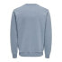 ONLY & SONS Ceres sweatshirt