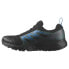 SALOMON Wander Goretex trail running shoes