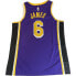 Nike Jordan Nba Swingman Jersey Lebron James La Lakers Statement Edition 6