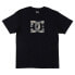 ფოტო #3 პროდუქტის DC SHOES Star Fill short sleeve T-shirt