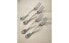 Фото #3 товара Столовые вилки классические ZARAHOME Set of classic forks