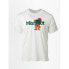 ფოტო #4 პროდუქტის MARMOT Leaning Marty short sleeve T-shirt