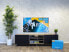 Фото #7 товара Philips 55OLED809 - Ambilight (2024) + Soundbar + HDMI Cable