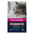 Фото #2 товара EUKANUBA Senior chicken 10 kg cat food