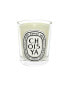 Diptyque Choisya