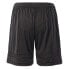 Фото #2 товара HUARI Artigas II Shorts