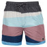 Фото #1 товара BARTS Mirro Swimming Shorts