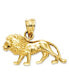 ფოტო #1 პროდუქტის 14k Gold Charm, Lion Charm