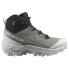 ფოტო #1 პროდუქტის SALOMON Crosstrak WP hiking shoes