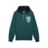 PUMA Posterize 2.0 hoodie Cold Green / Black, M - фото #1