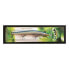 Фото #6 товара STRIKE PRO Slingshot Floating Minnow 120 mm 12.6g