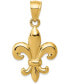 Фото #1 товара Fleur-de-Lis Charm Pendant in 14k Yellow Gold