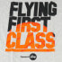 Фото #4 товара мужская футболка спортивная серая с надписями Reebok Classic Flying 1ST Graphic