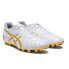 Футбольные кроссовки Asics Dslight Club AG 1103A027-122