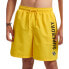 Фото #1 товара SUPERDRY Code Applque 19 Inch Swimming Shorts