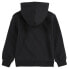 LEVI´S ® KIDS Batwing Screenprint hoodie