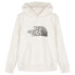 Фото #1 товара THE NORTH FACE Biner Graphic hoodie