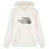 Фото #1 товара THE NORTH FACE Biner Graphic Hoodie