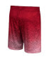 Men's Cardinal USC Trojans Walter Shorts