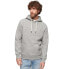 Фото #1 товара SUPERDRY Embossed Vintage Logo hoodie