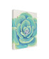 Фото #2 товара Tim O'Toole Pastel Succulent IV Canvas Art - 19.5" x 26"