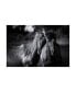 Фото #1 товара Aledanda Buddies Horse Canvas Art - 37" x 49"