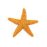 Фото #1 товара SAFARI LTD Starfish Sea Life Figure