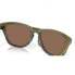 Фото #6 товара OAKLEY Frogskins Range Polarized Sunglasses