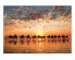 Фото #1 товара Puzzle Sunset In Beach Cable 1000 Teile