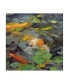 Фото #1 товара Chuck Larivey Golden Koi Swimming Canvas Art - 15" x 20"