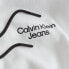 Фото #4 товара CALVIN KLEIN JEANS Stacked Colorblock hoodie
