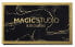 Magic Studio Black Diamond Eyeshadow Palette - фото #1