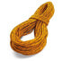 Фото #1 товара TENDON Canyon Wet 10 mm Rope