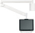 Фото #1 товара Neomounts by NewStar NEOMOUNTS FPMA-HAW100 Medical LCD Wall Mount 25,4-60,96cm 10-24Zoll kipp-/schwenkbar pivot VESA 75x75/100x100 6kg grau