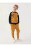 Фото #5 товара Спортивный костюм для мальчиков RolyPoly Dark Mustard 2-7 лет
