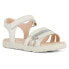 Фото #4 товара GEOX Haiti sandals