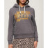 Фото #2 товара SUPERDRY Retro Glitter Logo hoodie